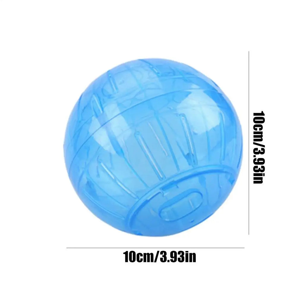 Hamster fitness ball