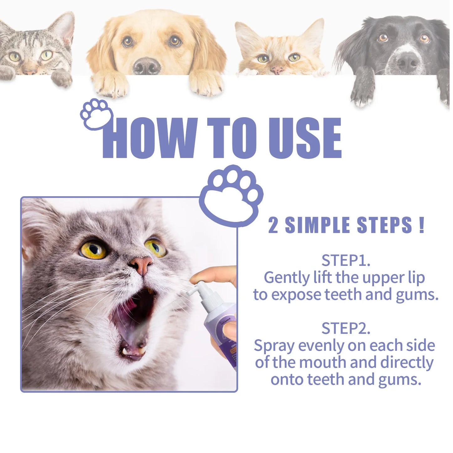 Pet oral cleaning spray