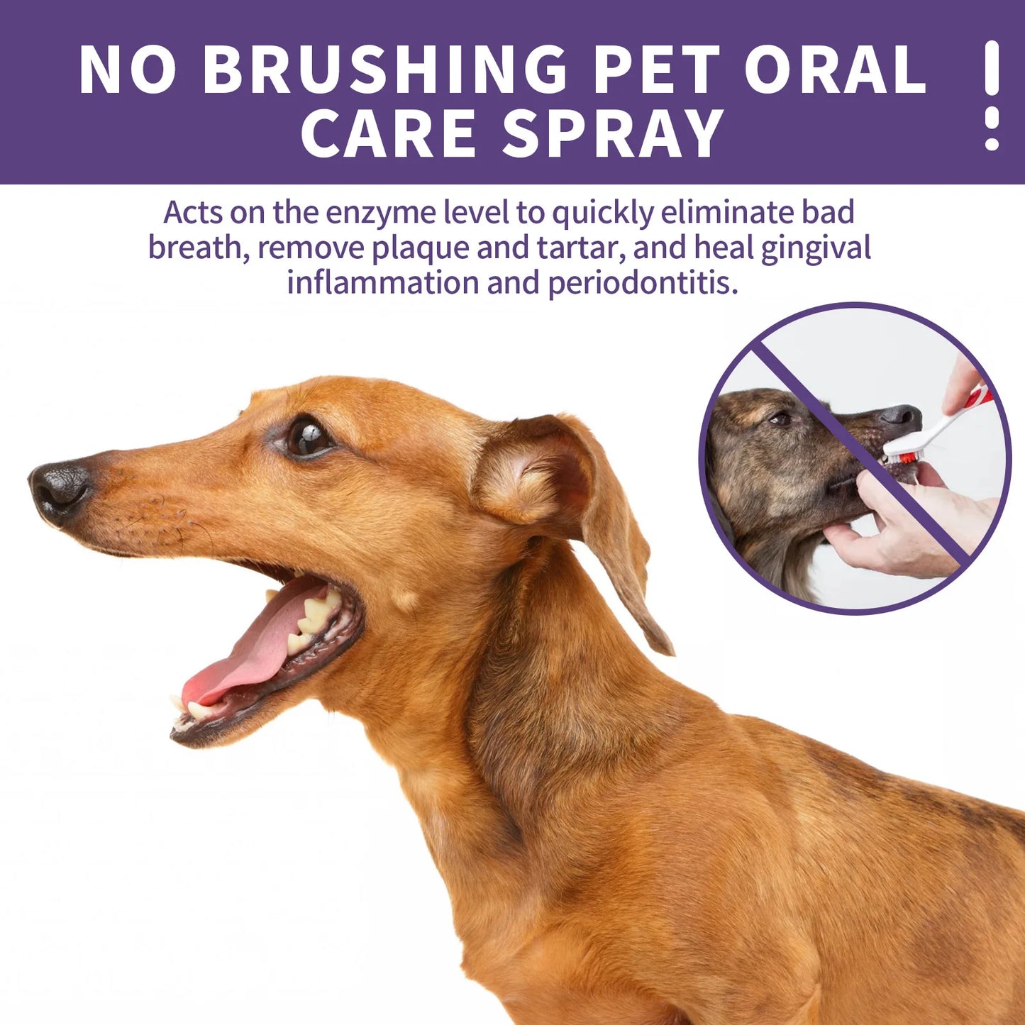 Pet oral cleaning spray