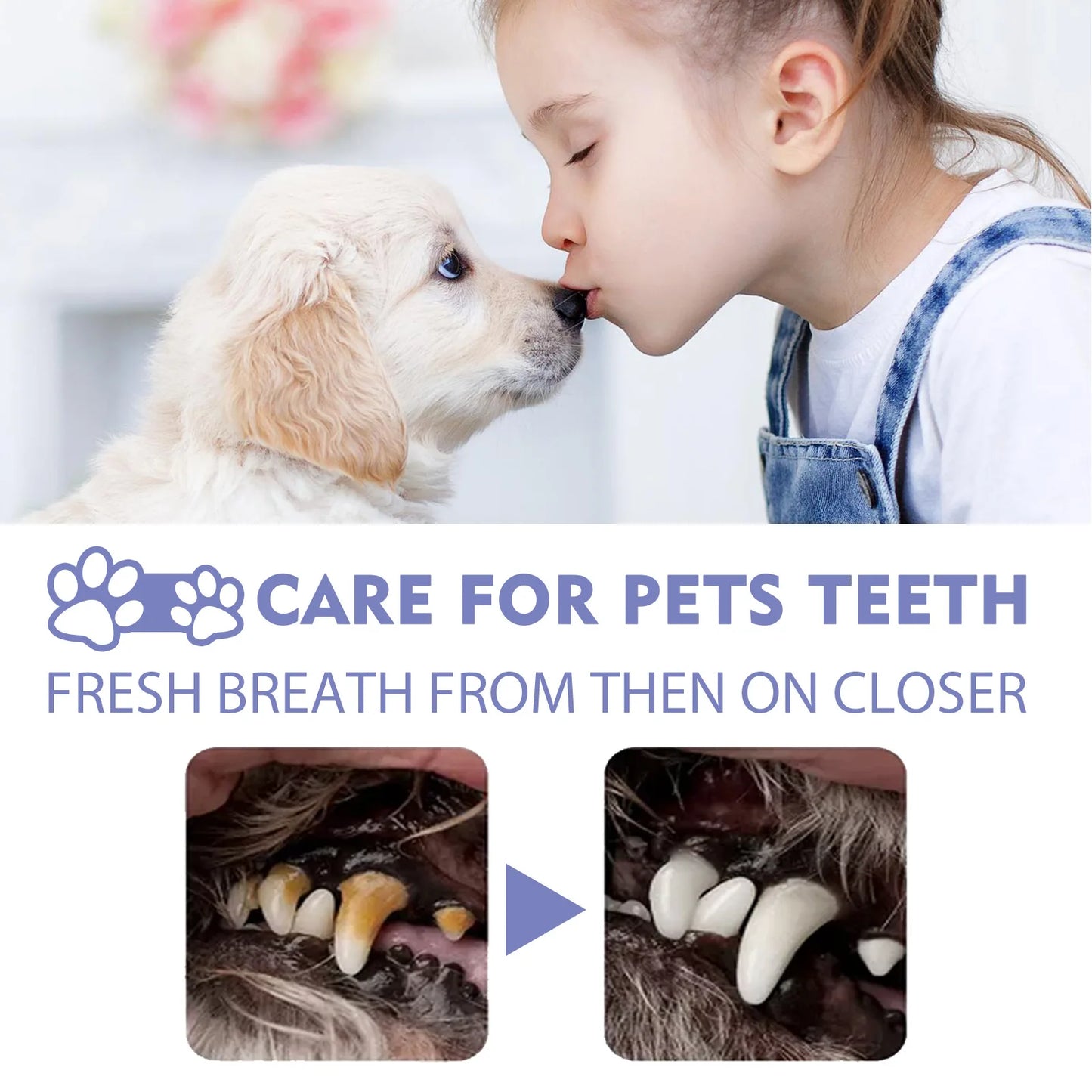 Pet oral cleaning spray