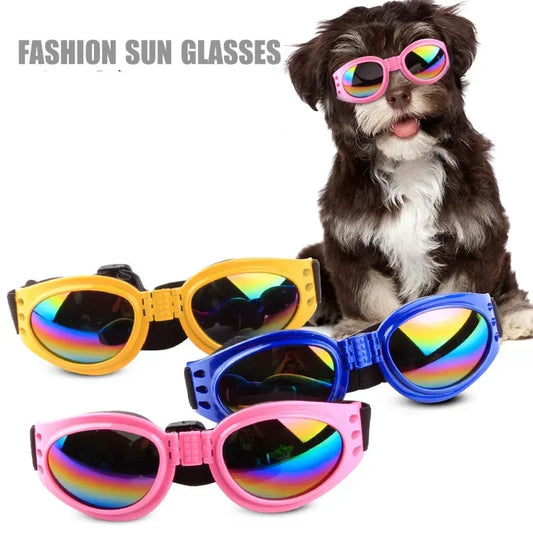 Pet Sunglasses