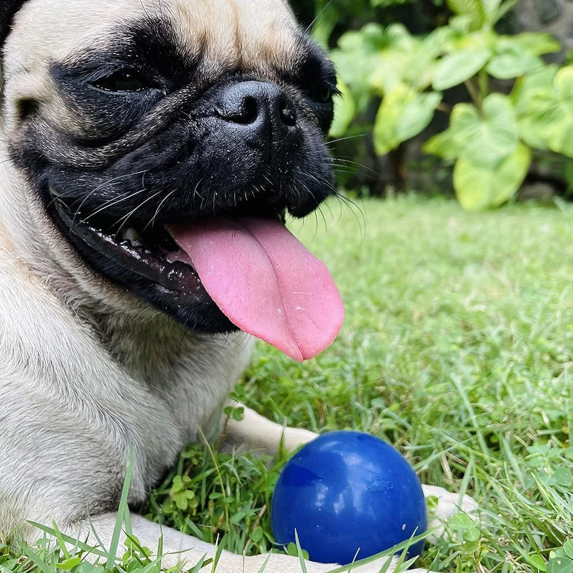 SuperChewy Tough Dog Ball