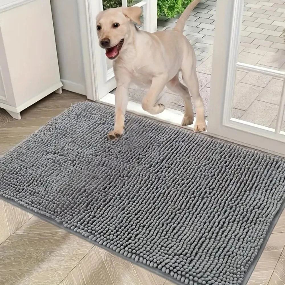 Low Profile Entryway Rug