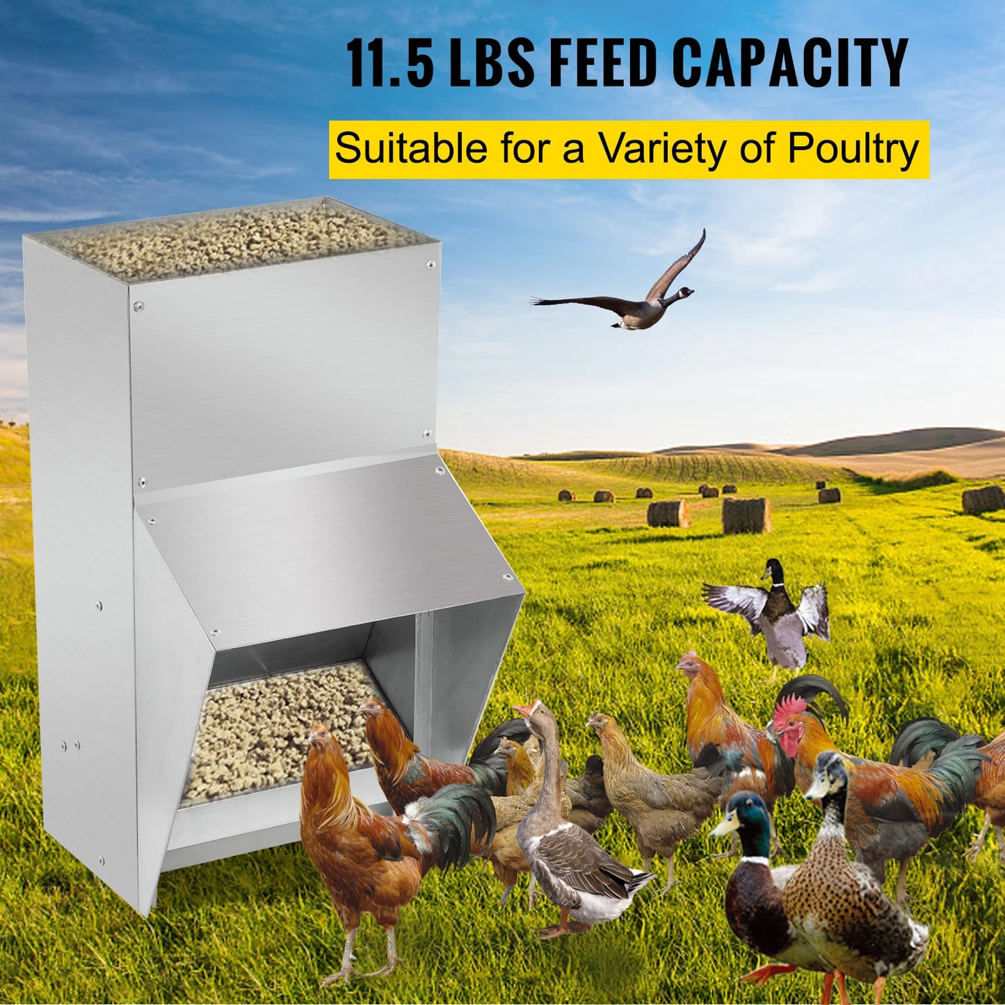 Premium Chicken Feeder