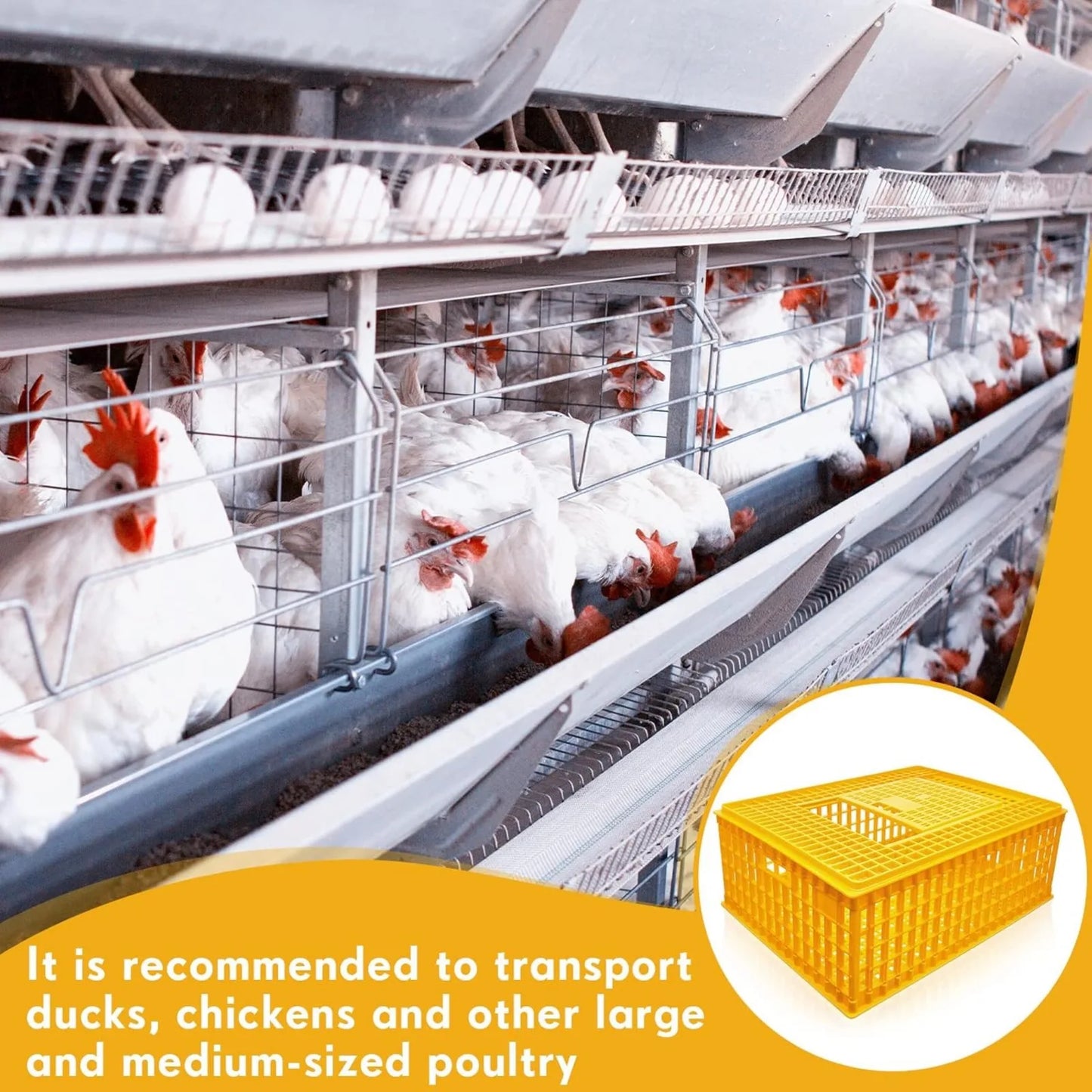 Poultry Carrier Crate