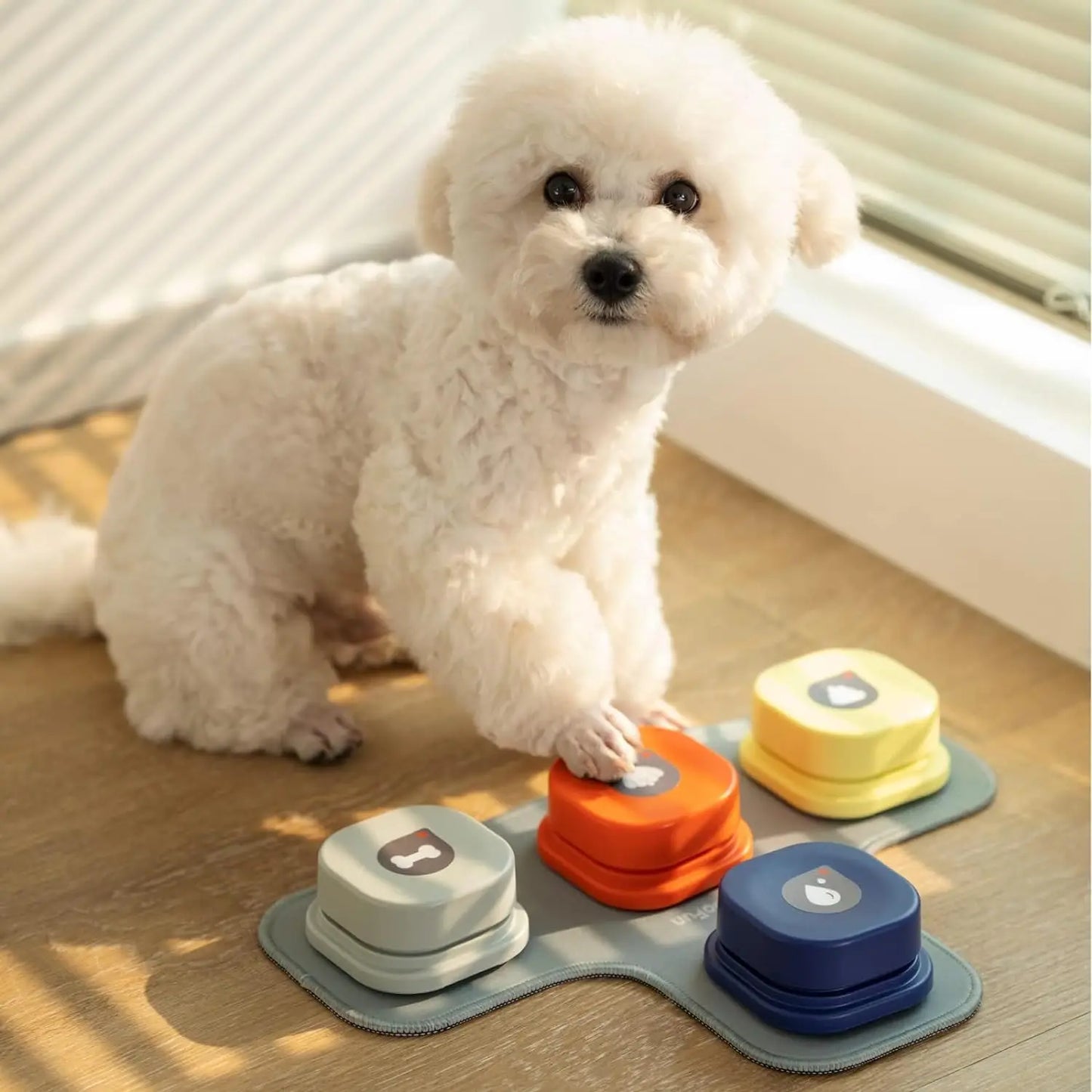 Recordable Dog Talking Buttons