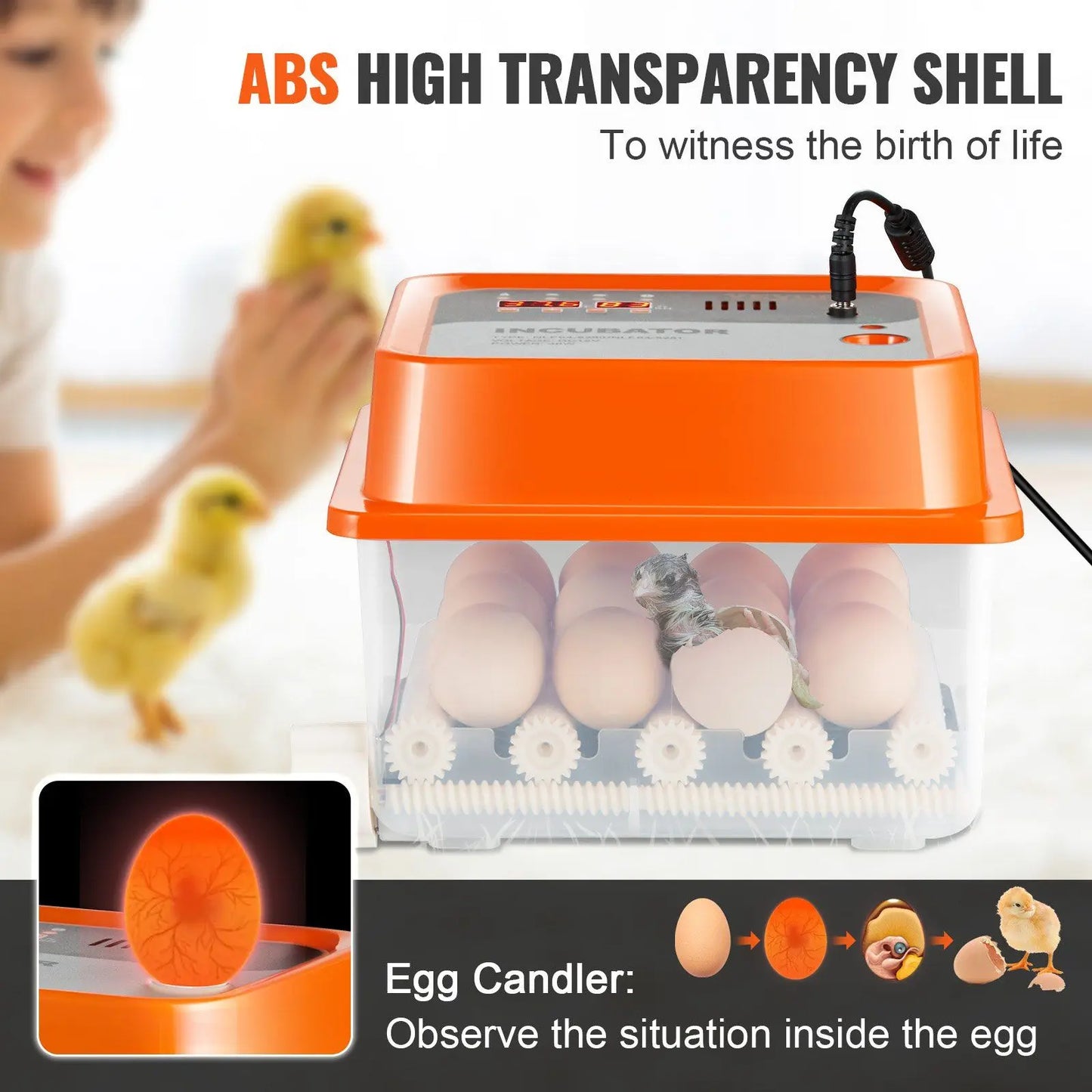 12 Egg Incubator