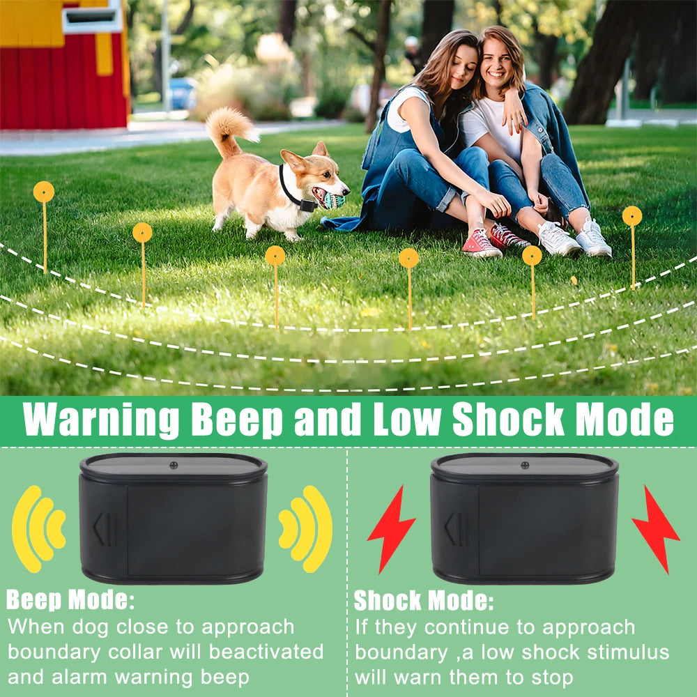 Electric Dog Fence