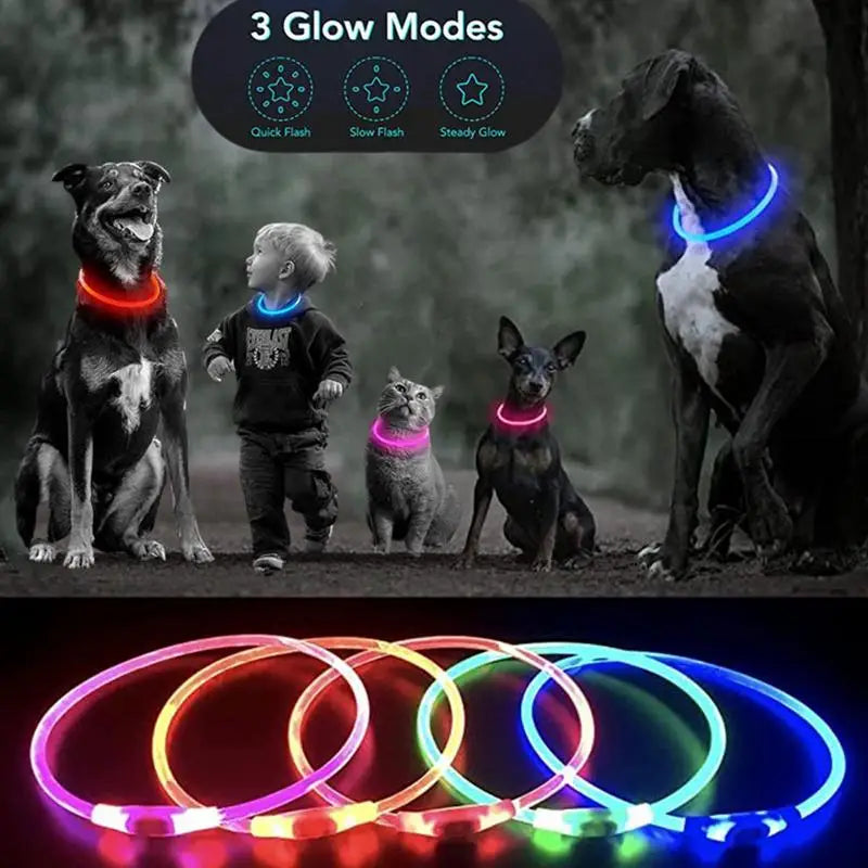 LED Dog Collar