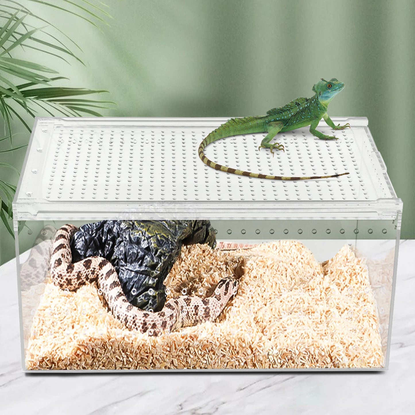 Terrarium Cage for Insect Tarantulas Amphibian