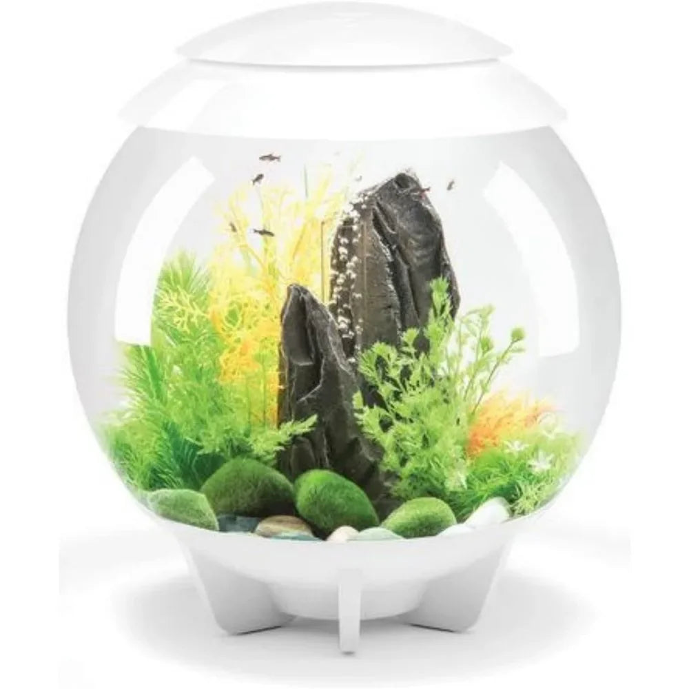 8-Gallon Aquarium with Multi-Color Remote-Controlled LED Lights