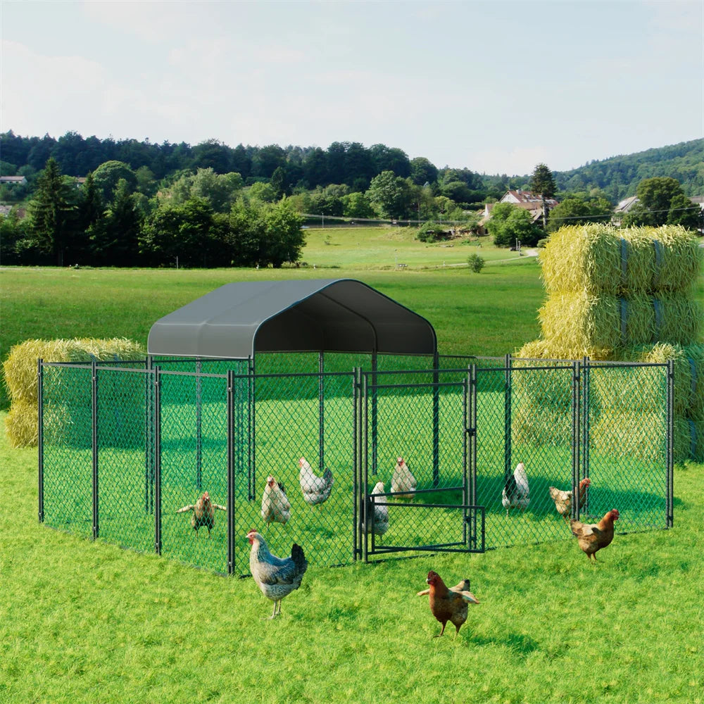 Heavy Duty XXL Chicken Coop