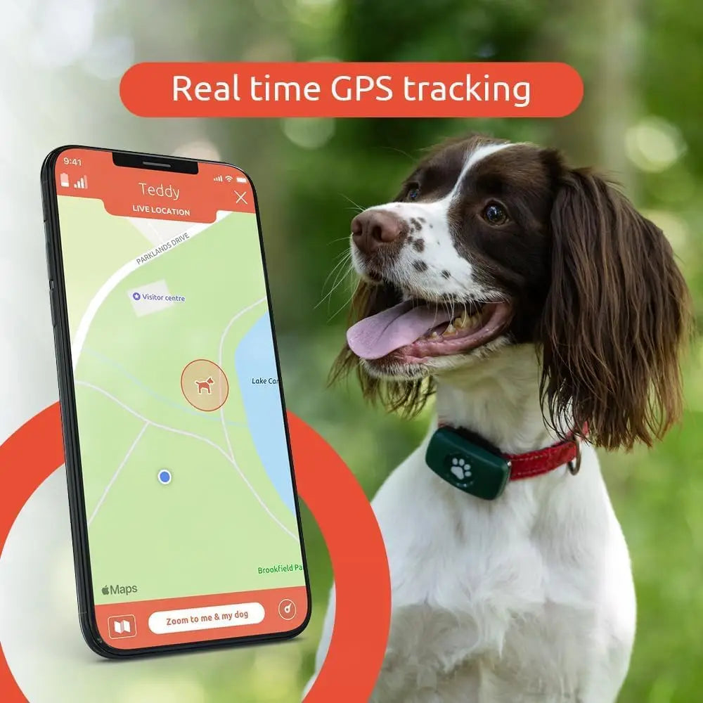 GPS Tracker for Dogs