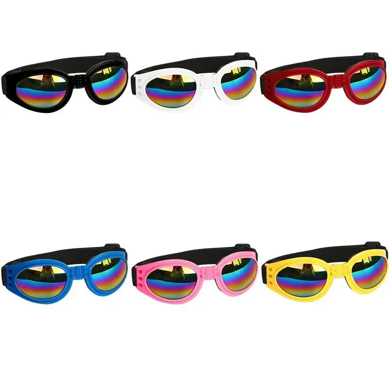 Pet Sunglasses