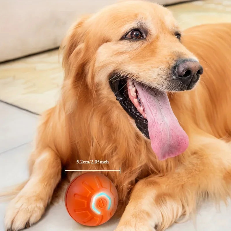 Smart Dog Toy Ball