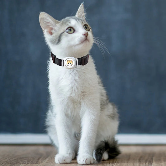 Real-time Tracking Collar