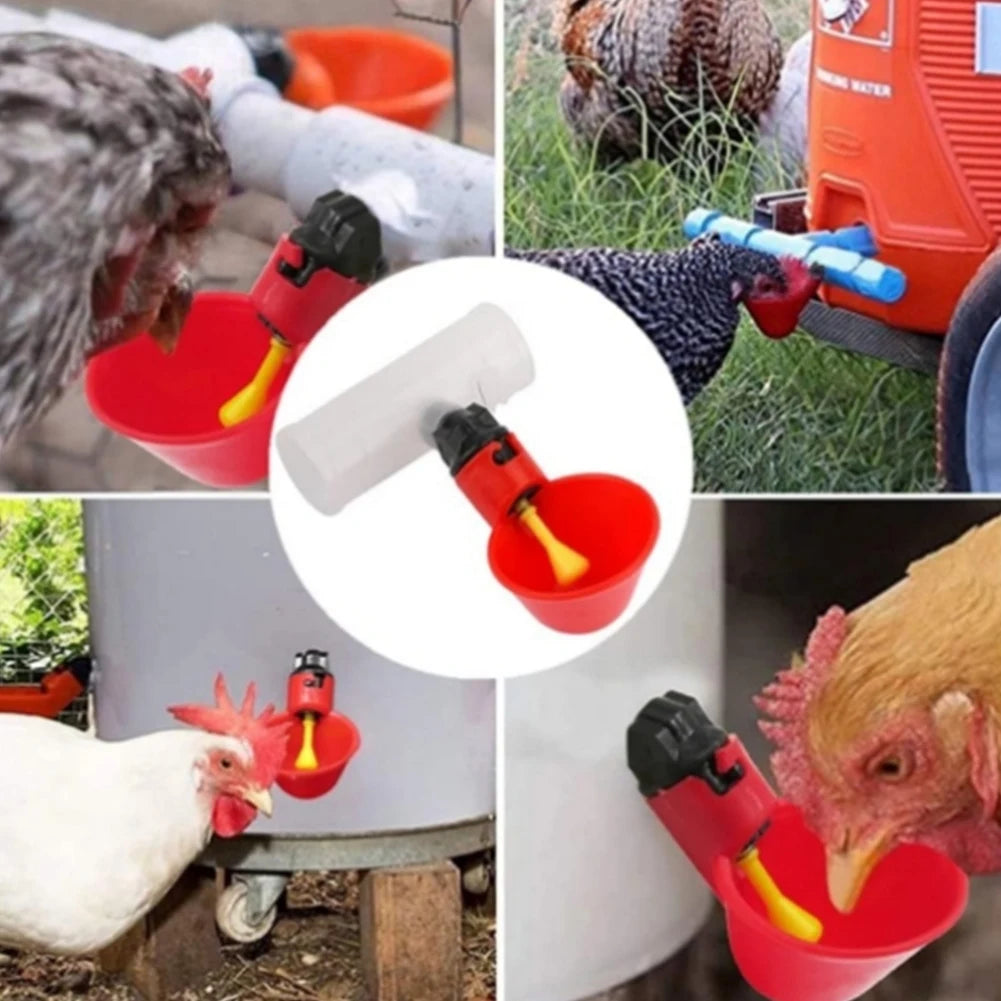 Drinking Tee Connector for Chicken