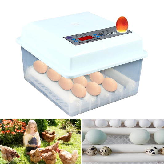 16 Egg Fully Automatic Digital Egg Incubator