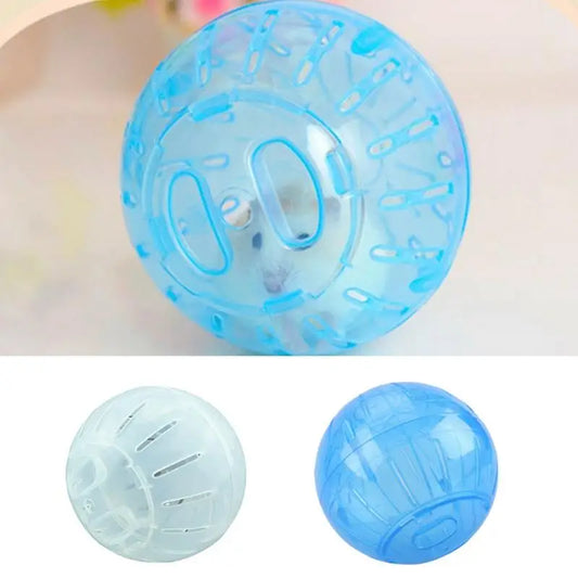 Hamster fitness ball