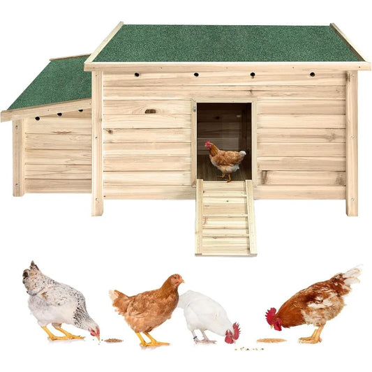 Outdoor wooden chicken coop with double nesting boxes and ramp.