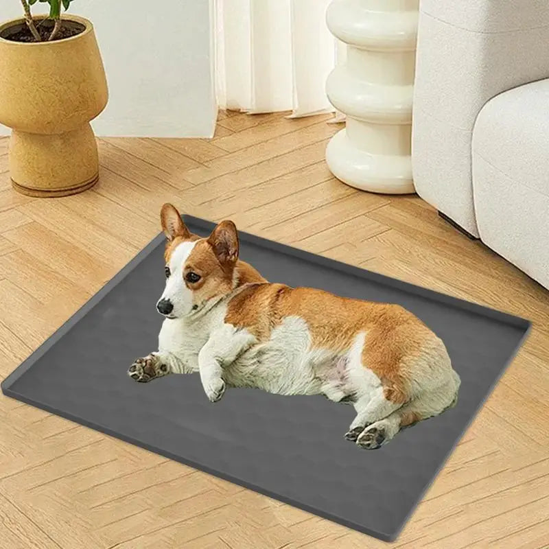 Silicone Pet Placemat