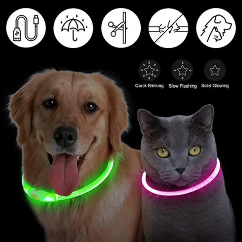 LED Dog Collar