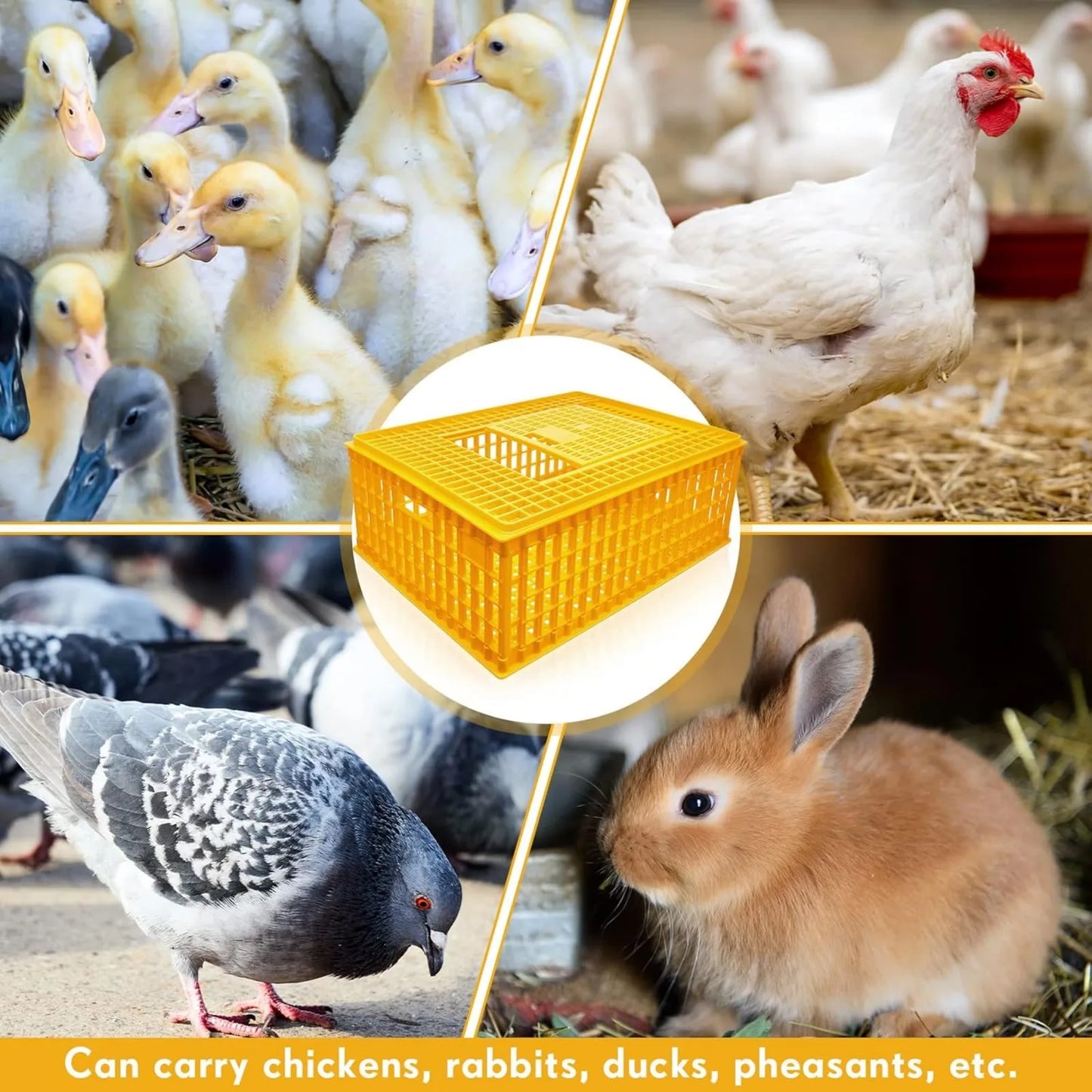 Poultry Carrier Crate