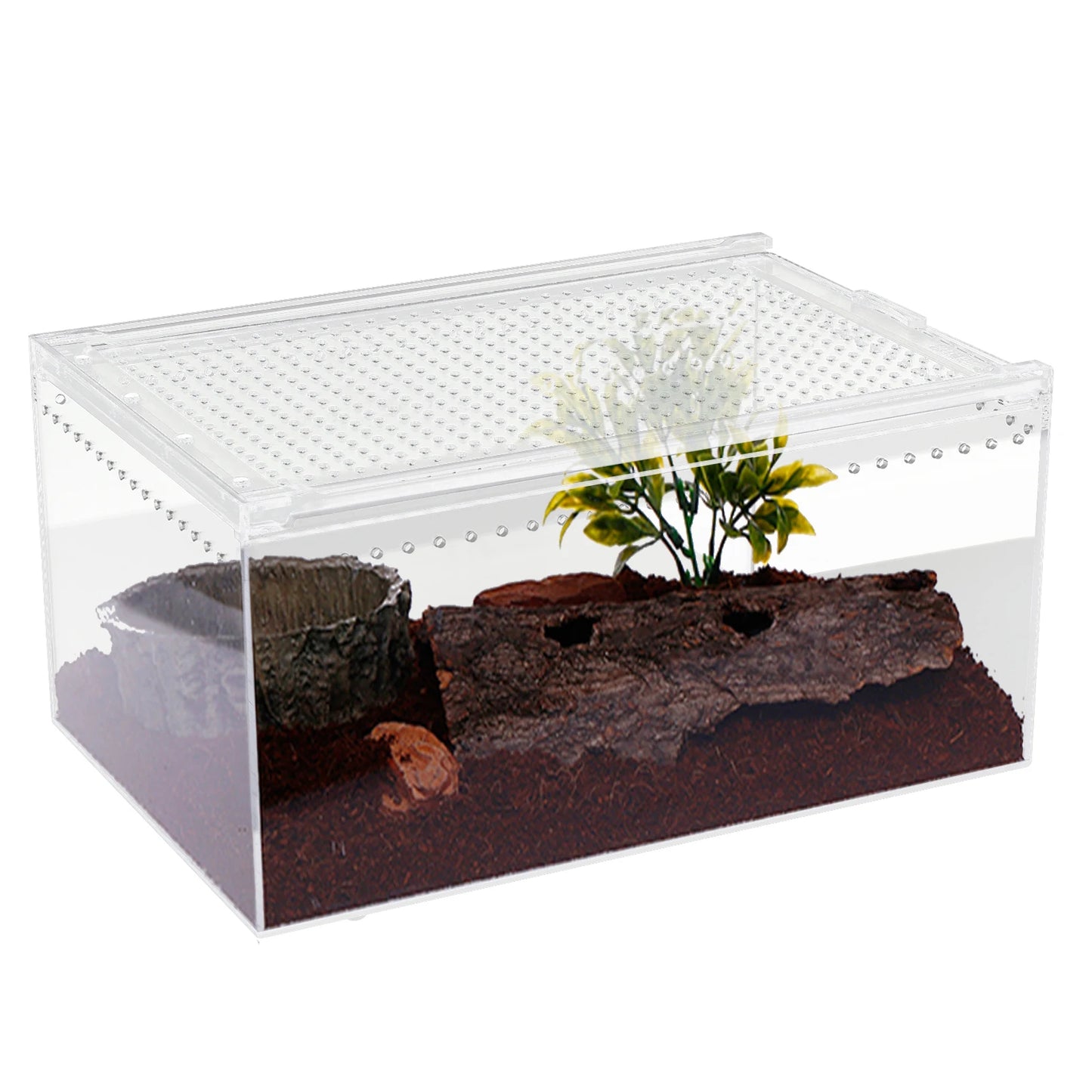 Terrarium Cage for Insect Tarantulas Amphibian