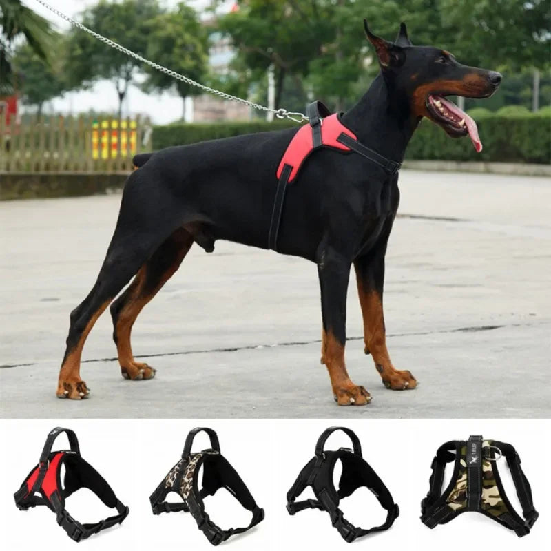 Adjustable Dog Harness