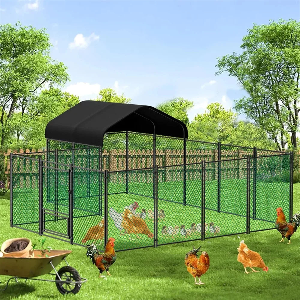 Heavy Duty XXL Chicken Coop