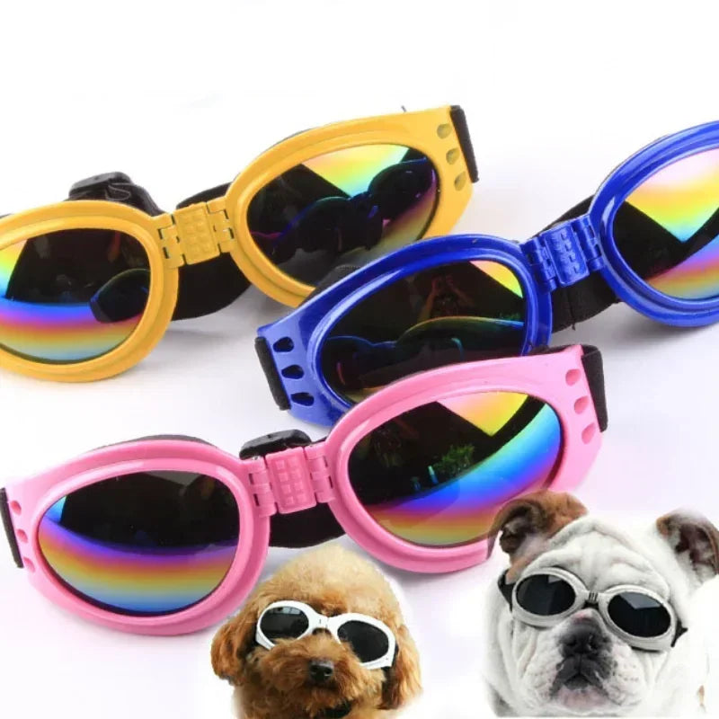 Pet Sunglasses