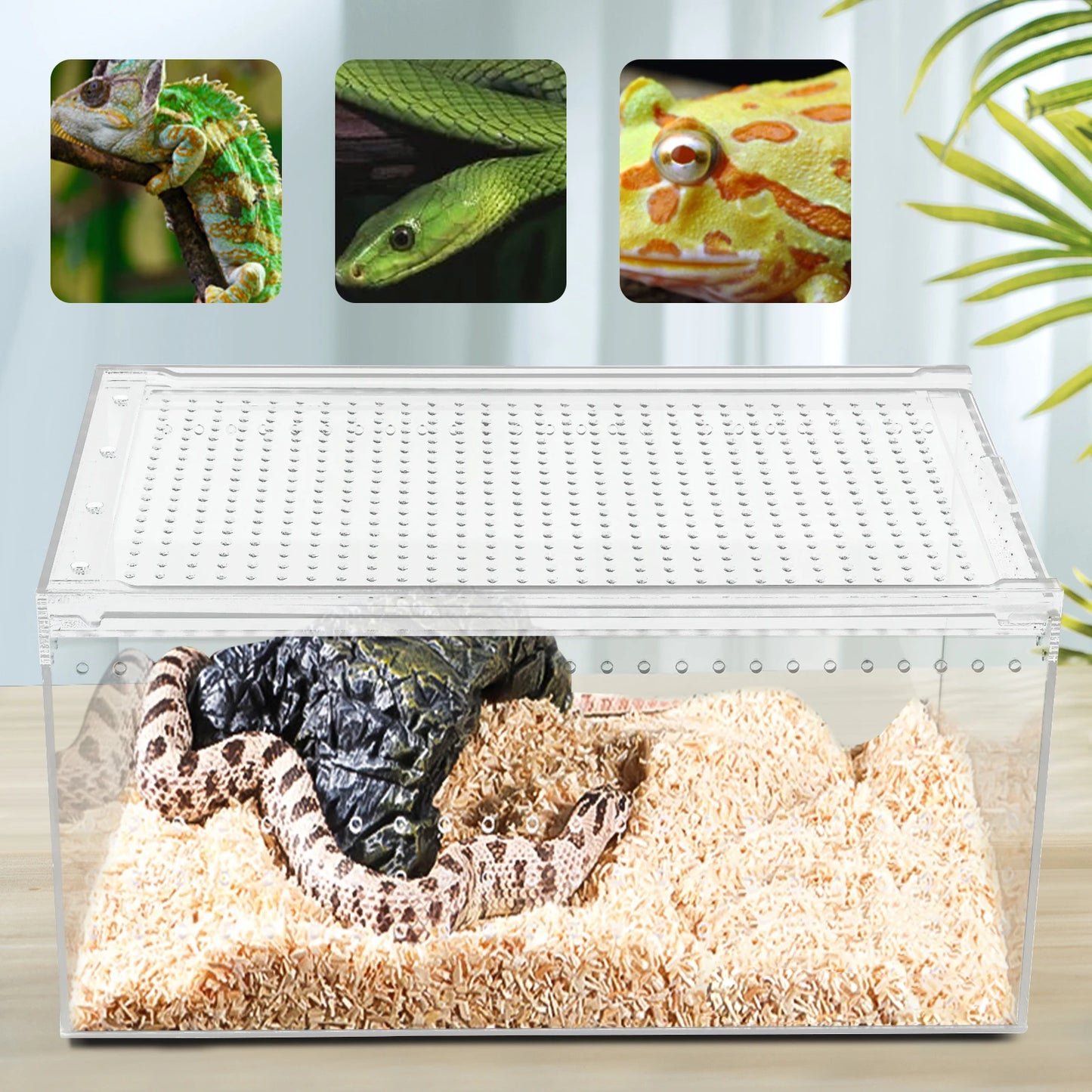 Terrarium Cage for Insect Tarantulas Amphibian