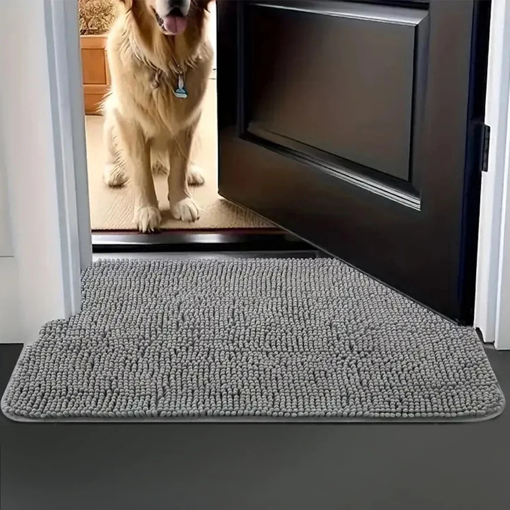 Low Profile Entryway Rug