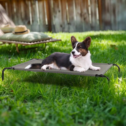 43" Elevated Dog Bed