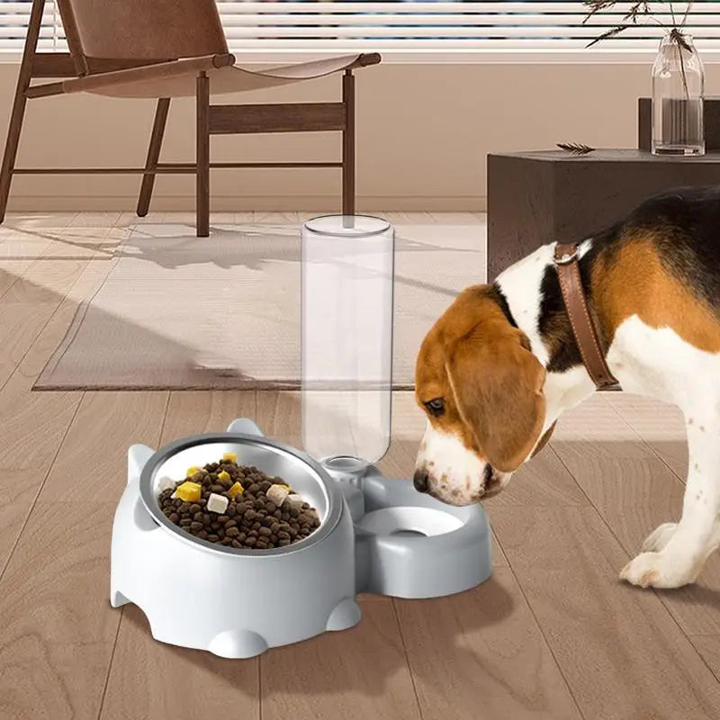 Food and Water Bowl Set