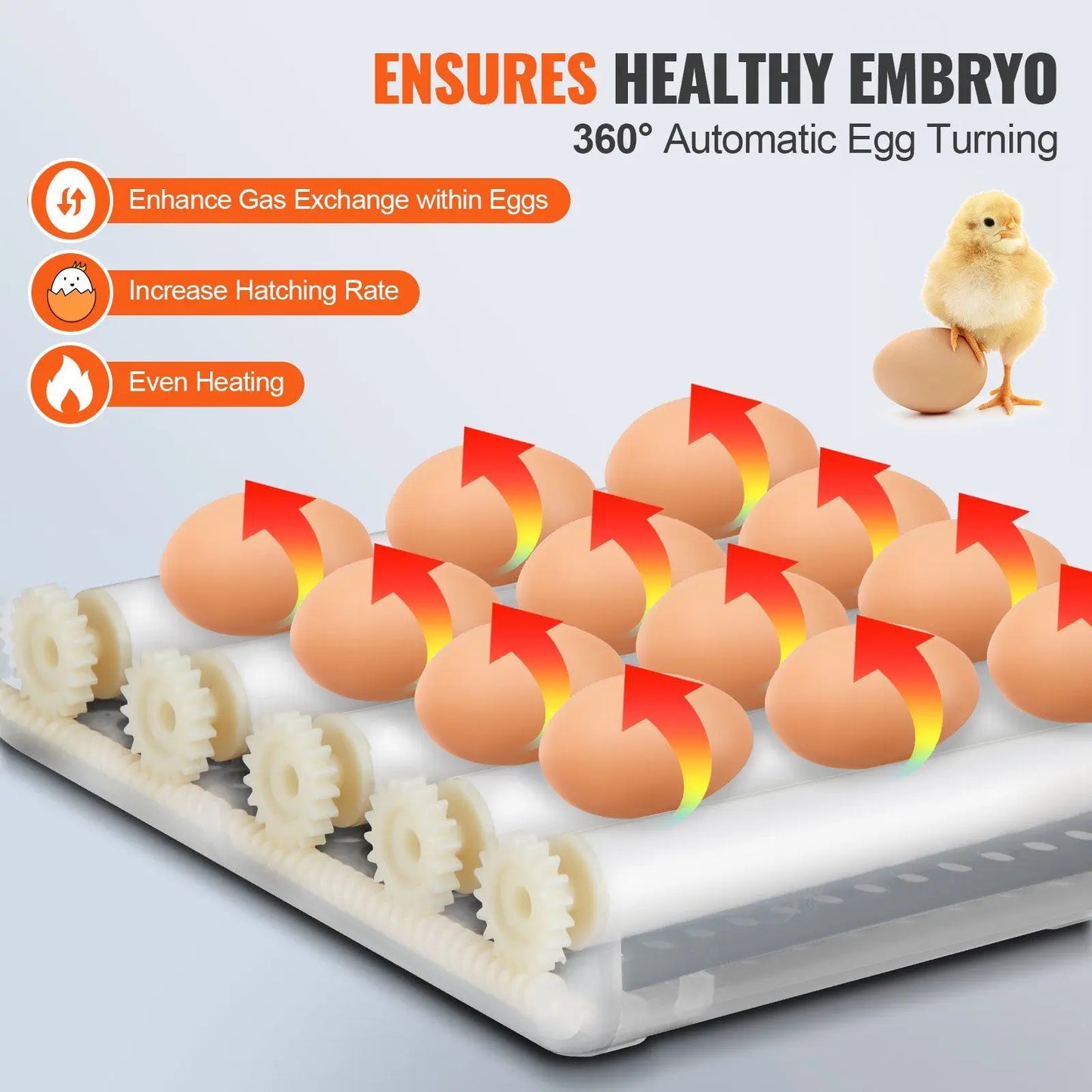 12 Egg Incubator