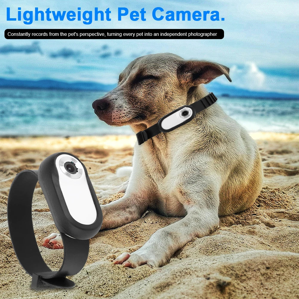 HD 1080P Dog Tracker Collar