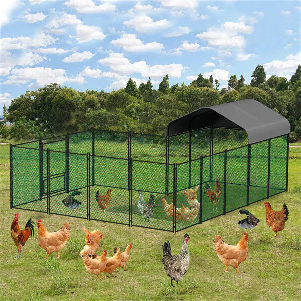 Heavy Duty XXL Chicken Coop