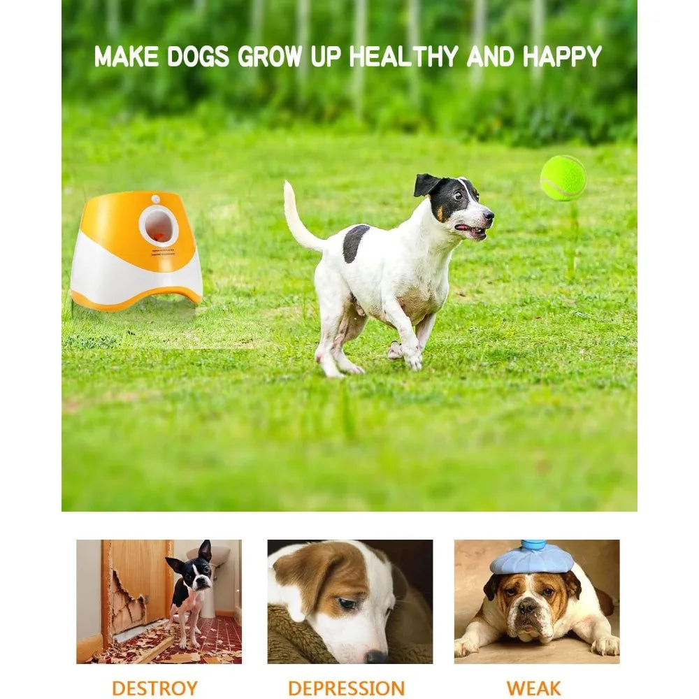 Dog Ball Launcher  With 12 Tennis Ball