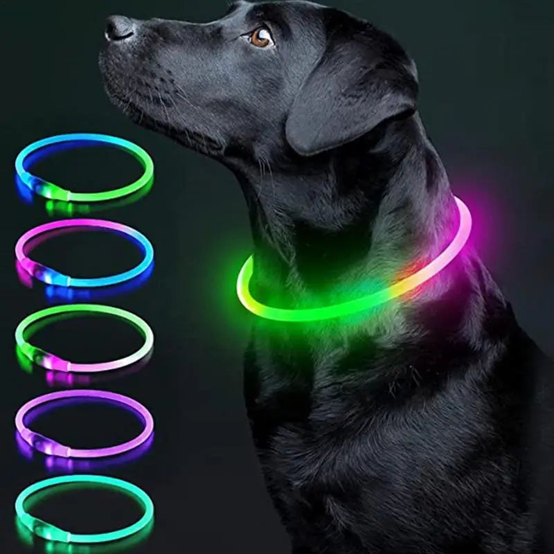 LED Dog Collar