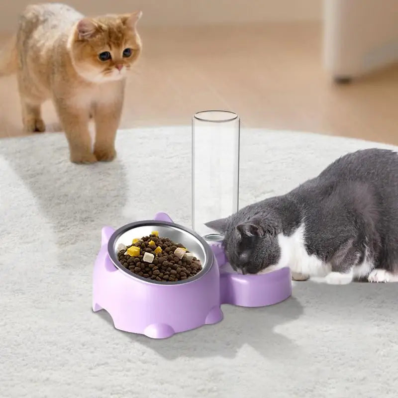 Food and Water Bowl Set