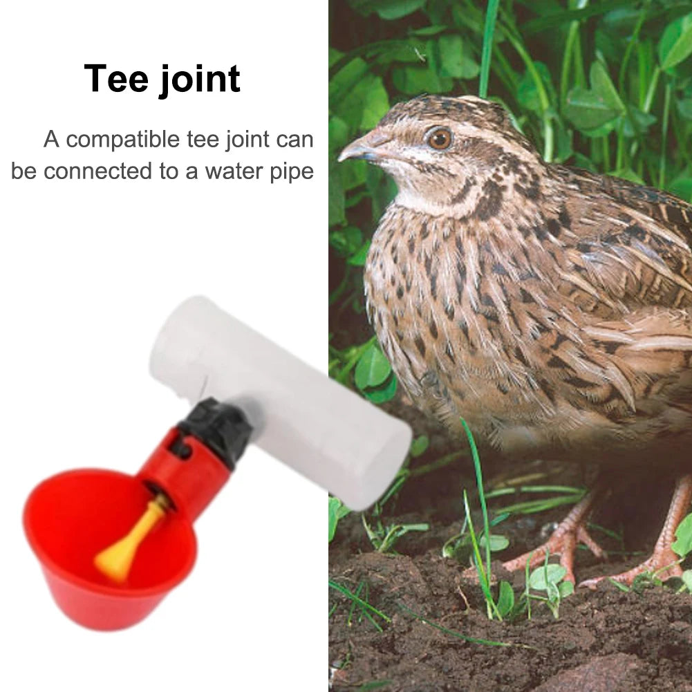 Drinking Tee Connector for Chicken