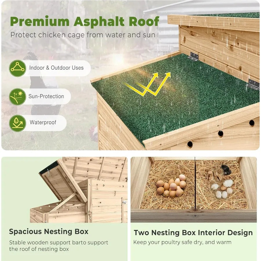 Outdoor wooden chicken coop with double nesting boxes and ramp.