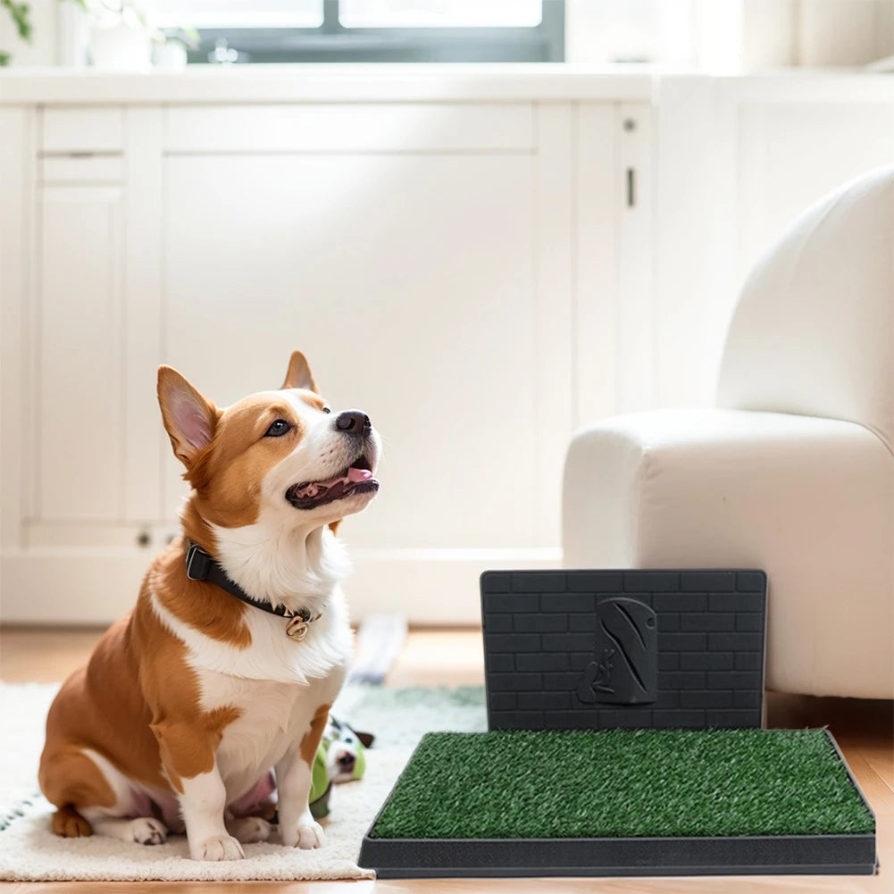 Dog Grass Pee Pad