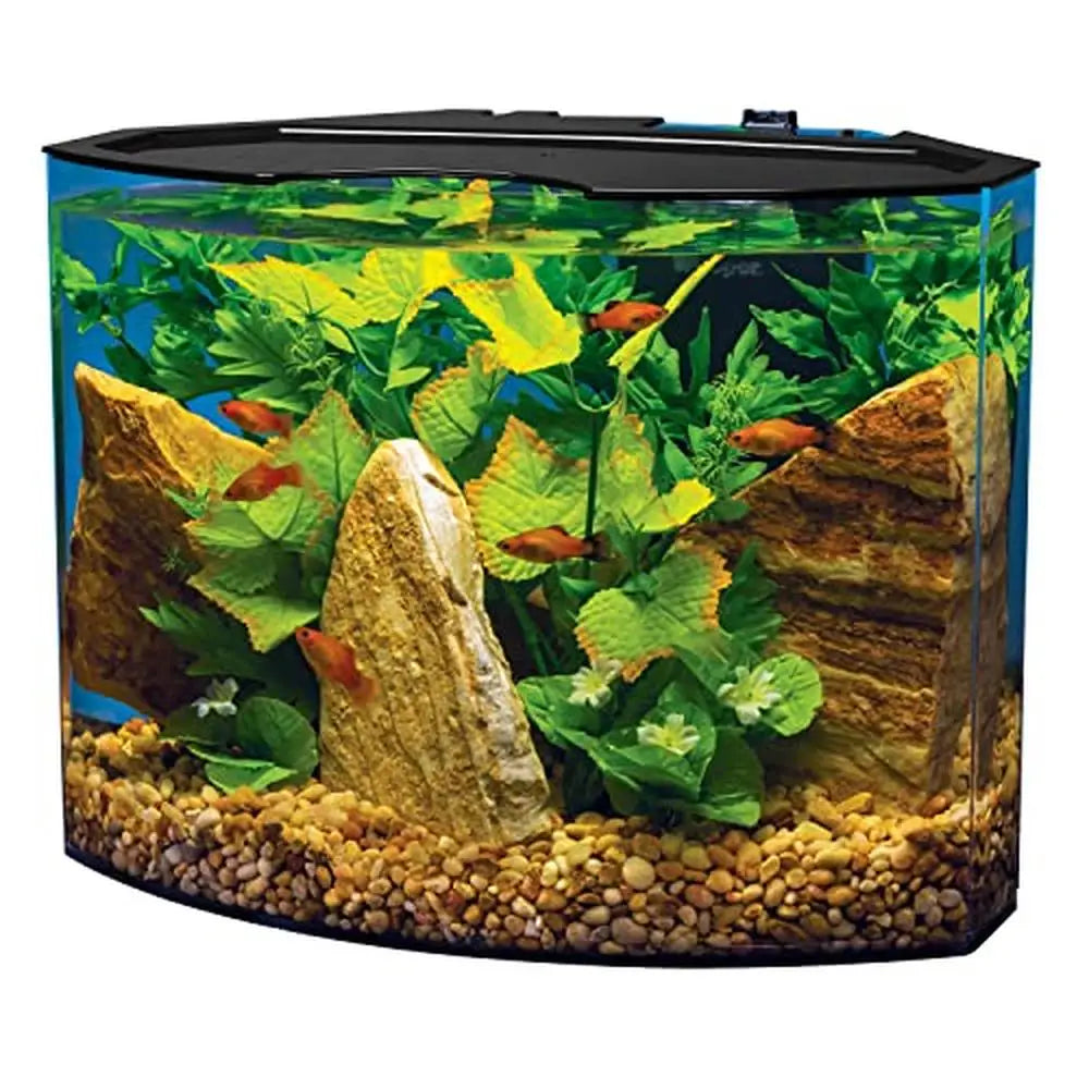 5 Gallon Curved-Front Aquarium Kit with LED Lights