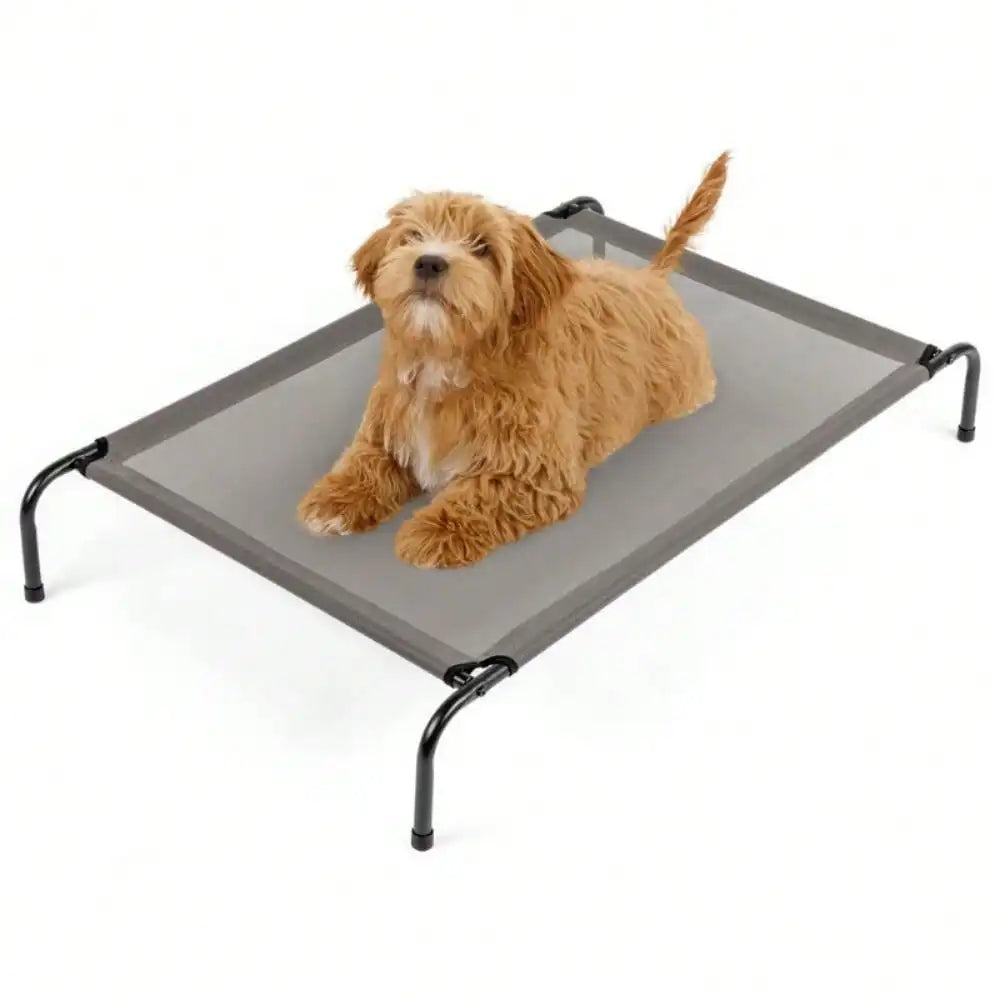 43" Elevated Dog Bed