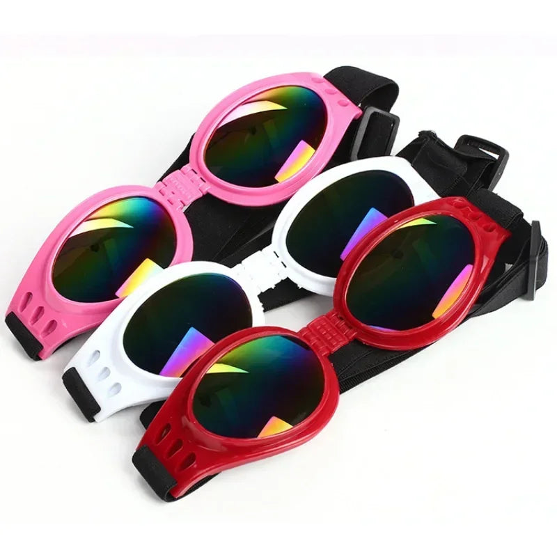 Pet Sunglasses