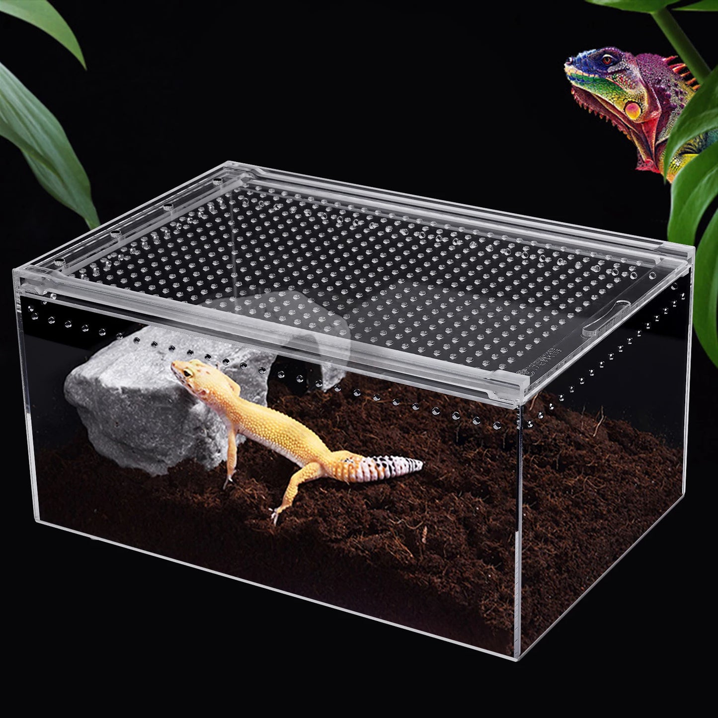 Terrarium Cage for Insect Tarantulas Amphibian