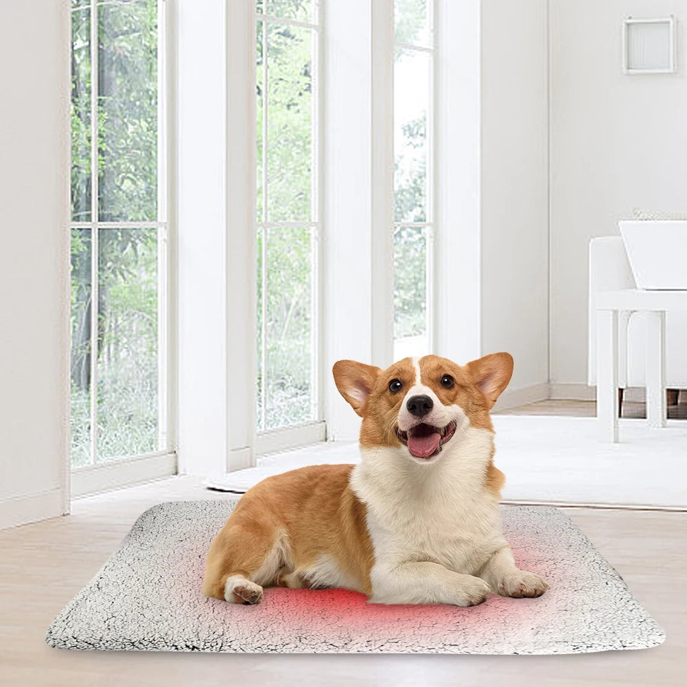 Self-Warming pet bed