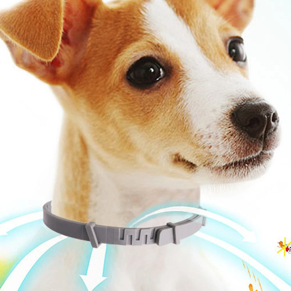 Flea and Tick Collar